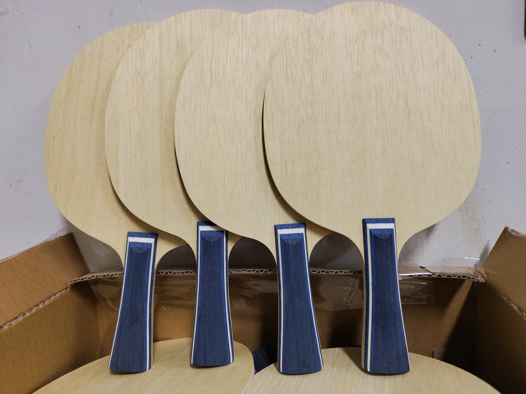 【SPRINT】SPRINT W5 兒童版本