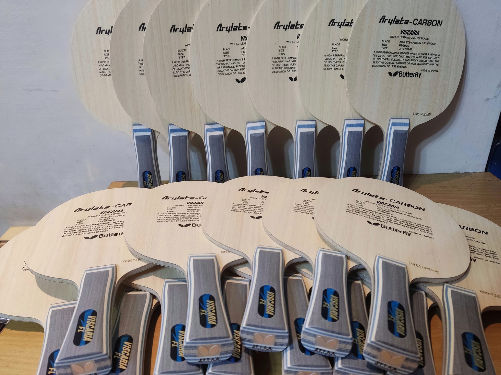 【BUTTERFLY蝴蝶】Viscaria 蝴蝶王 #日本內銷版#