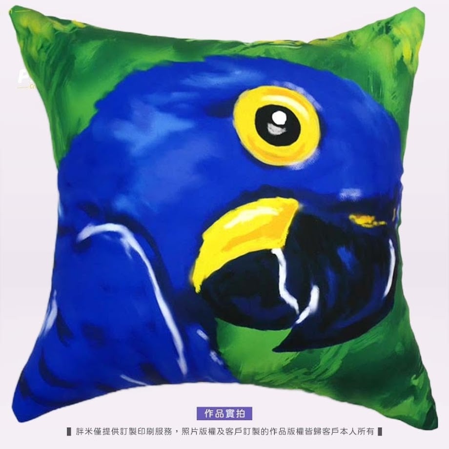 【方形抱枕】客製印刷(50公分以上)