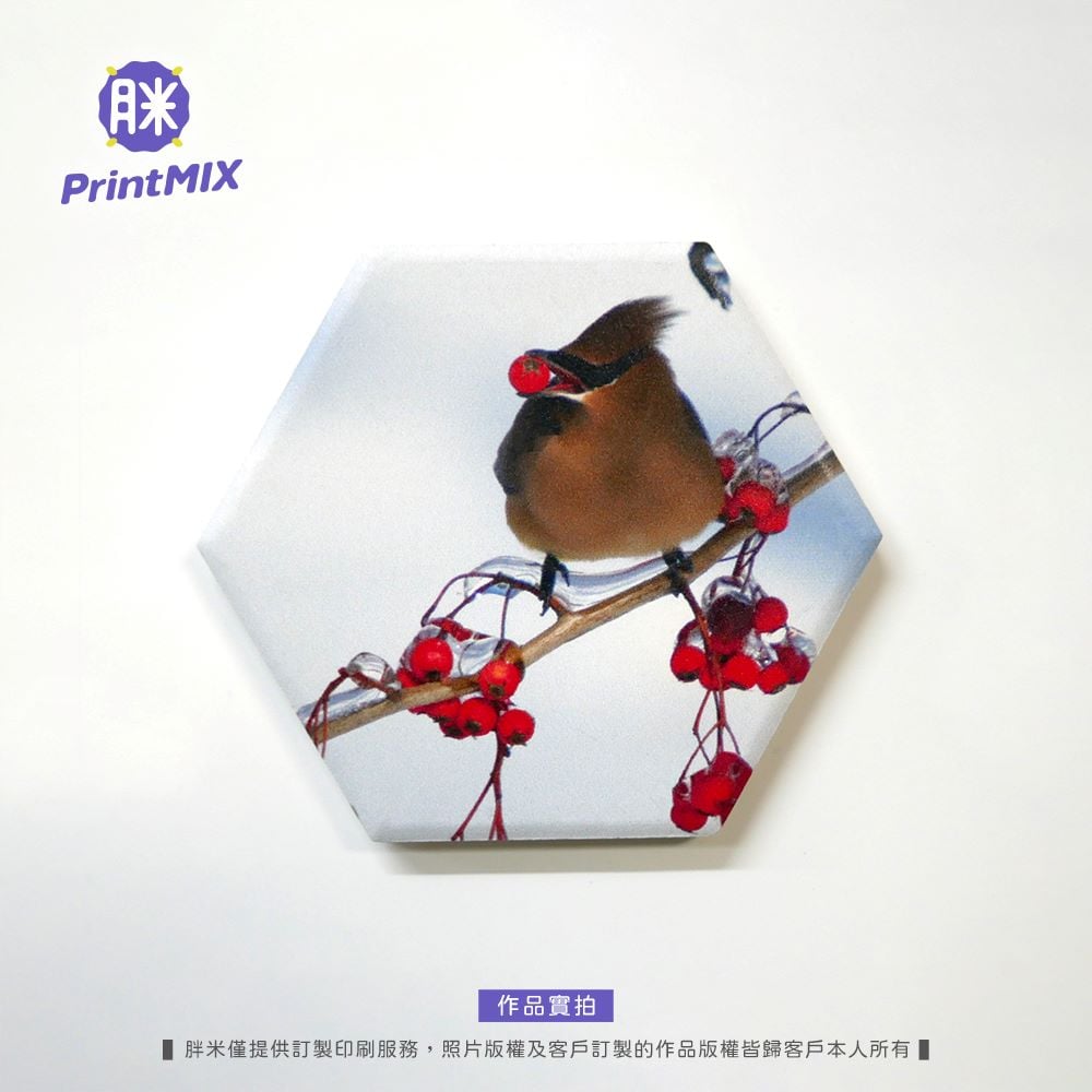 【陶瓷磁鐵】客製印刷 ∣六角形 ∣ 6x6.9cm