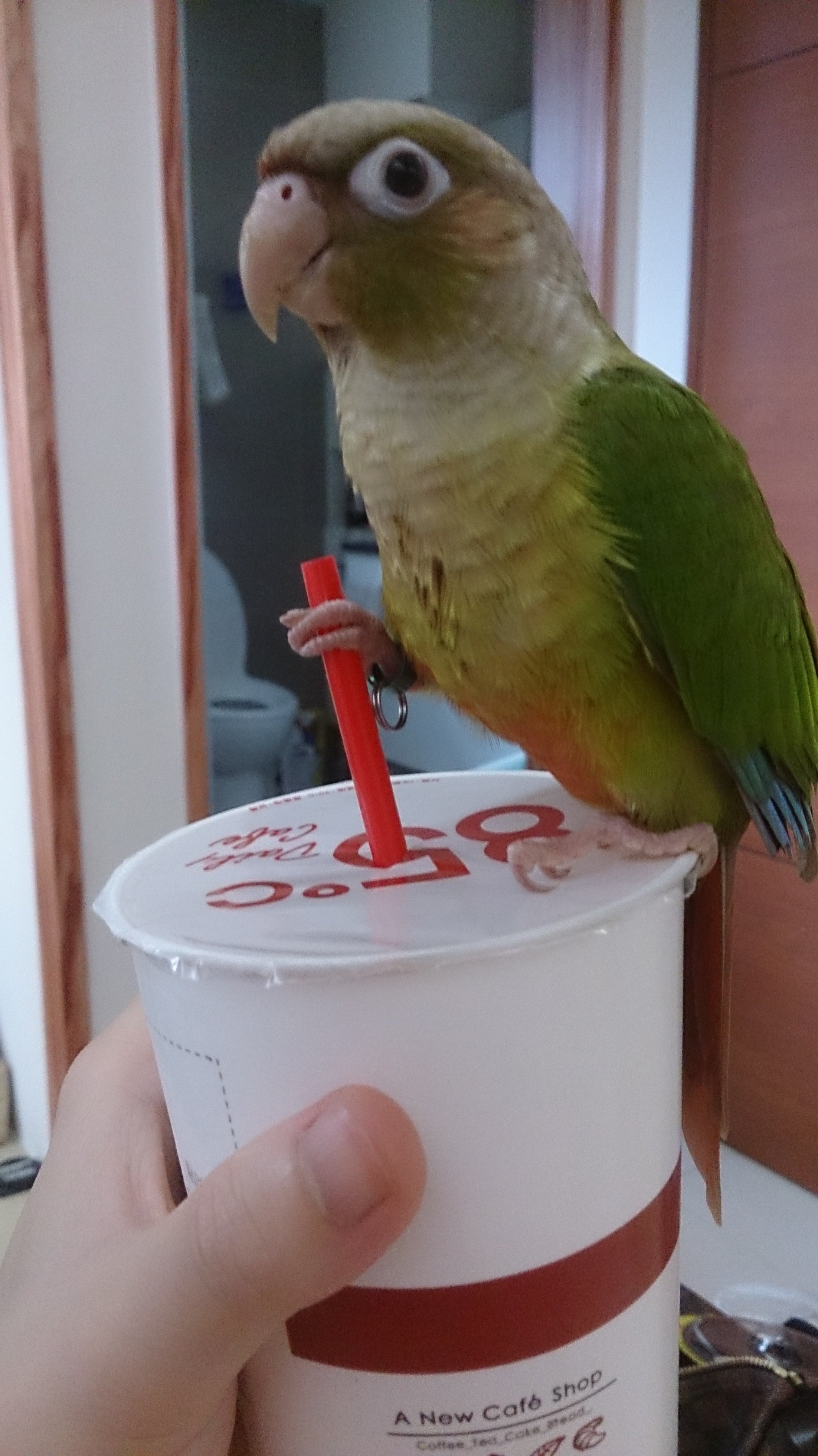 『聲明啟事』非本人親自交流出去的腕錶 與本工作室無關