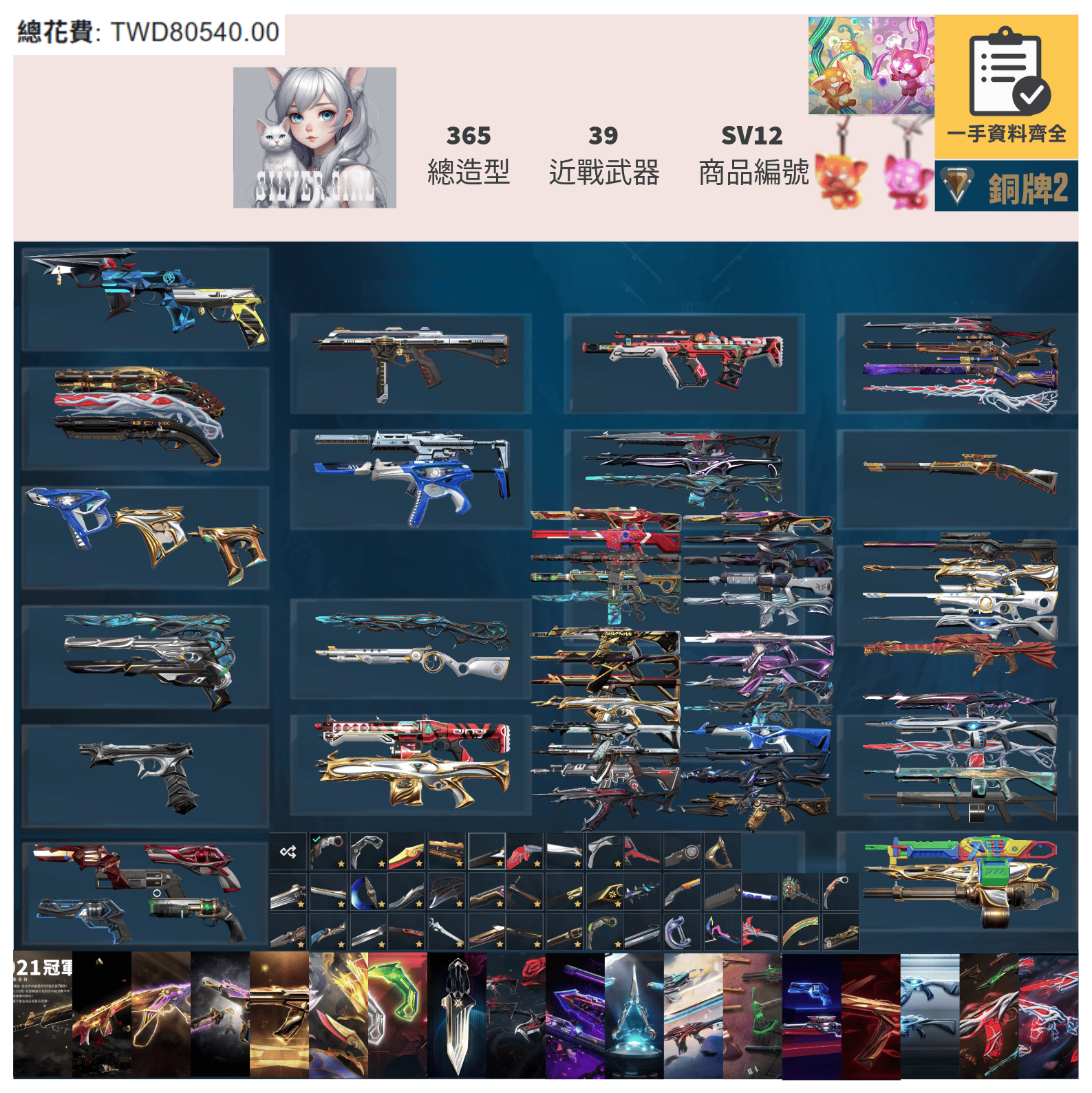 【編號SV12】月付2300元起 主打全冠軍套