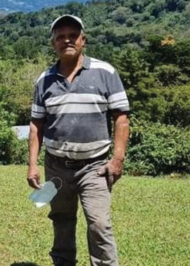 巴拿馬, 班尼迪克莊園, 藝妓, 日曬