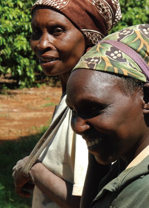 肯亞 AA FAQ　Kenya AA FAQ