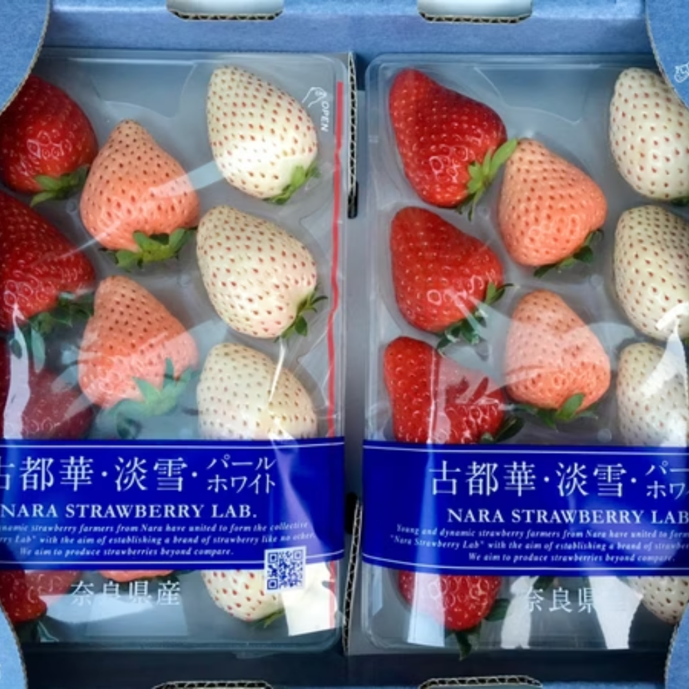 日本三色草莓禮盒｜古都華・淡雪・珍珠白 嚴選組合