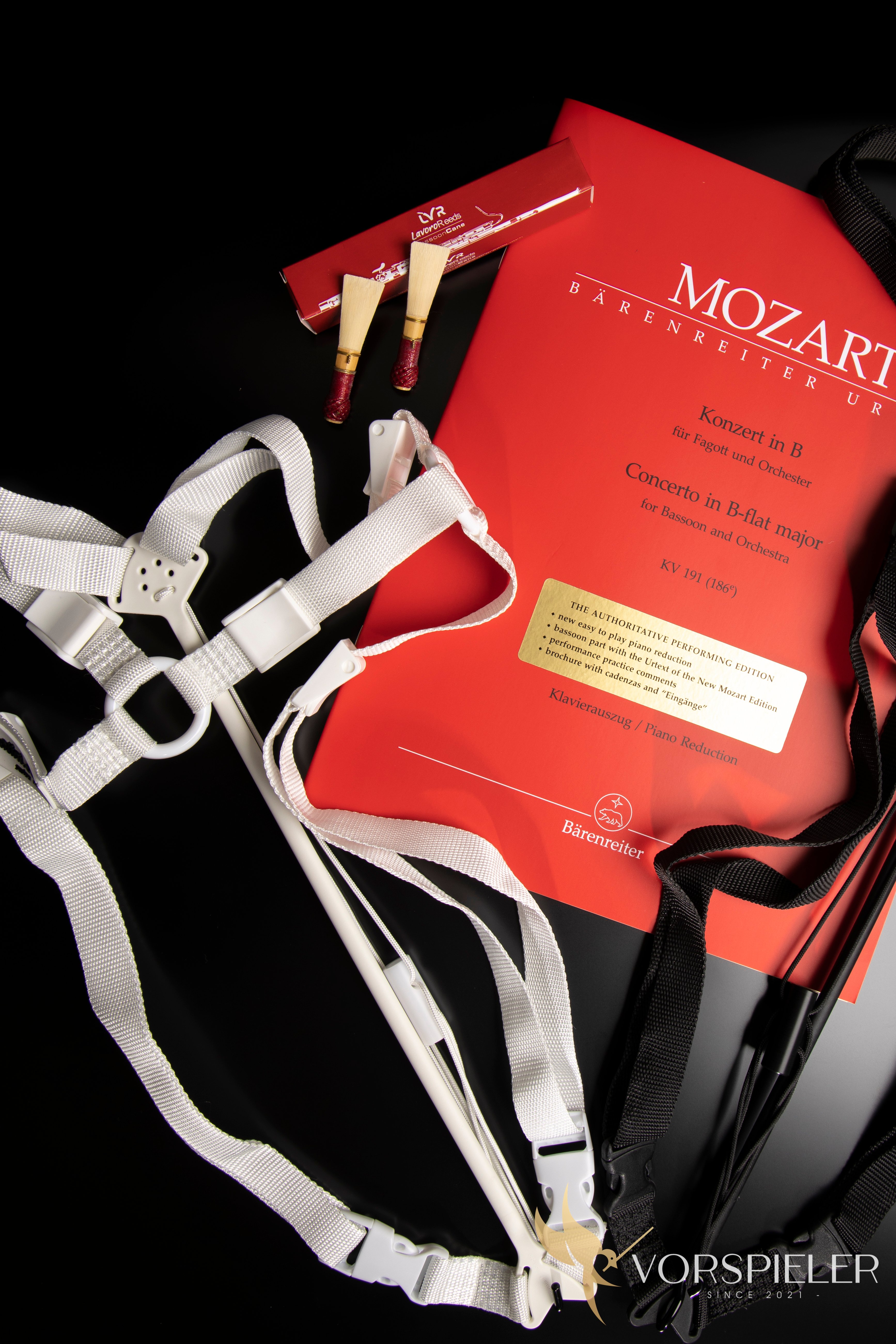 Zappatini 外骨骼人體工背帶