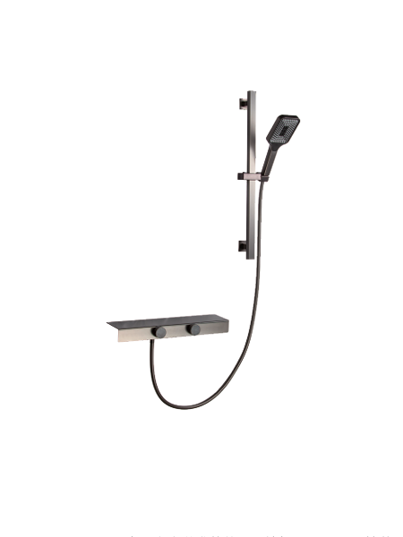 定溫出水淋浴蓮蓬頭 53081