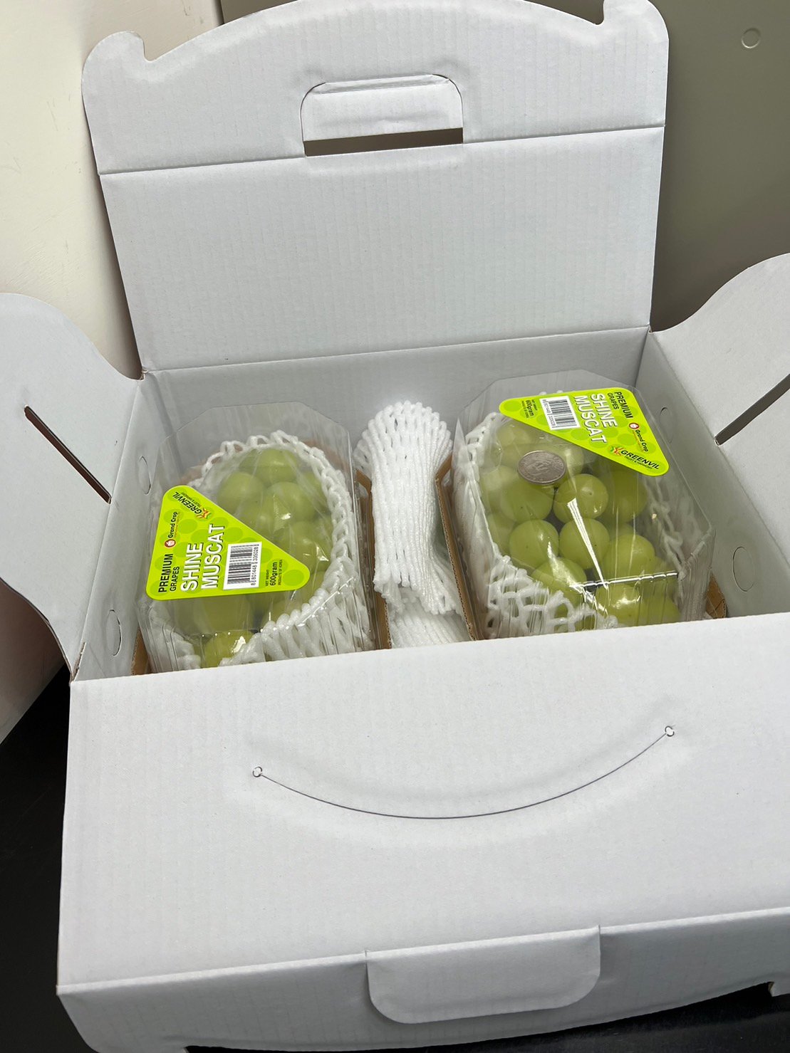 韓國麝香葡萄禮盒2串(600g/1串)