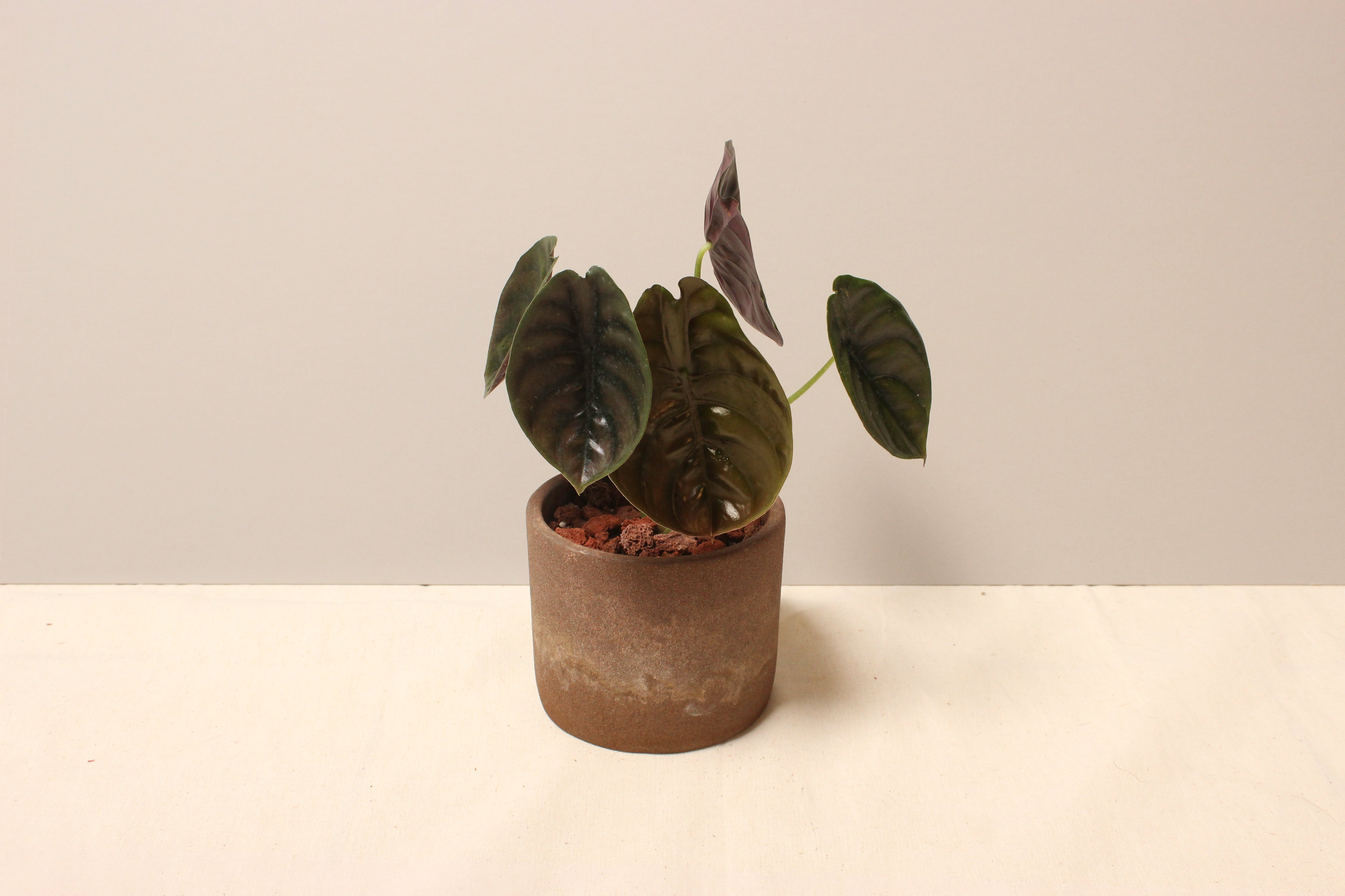 磨砂石盆_銅鏡觀音蓮