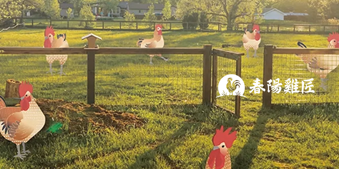 加班熬夜好累？滴雞精怎麼挑才能最有效滋補身體？