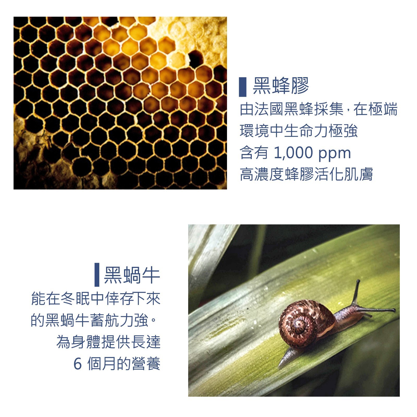 Dr.G頂級黑蝸牛全效乳霜 宋仲基代言醫美級 亮白 、防止肌膚老化、恢復肌膚彈性