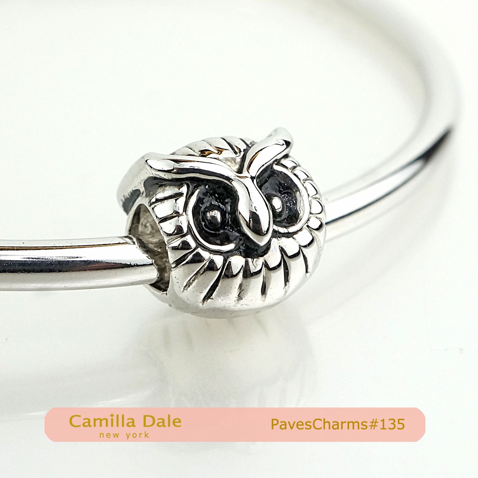 CamillaDale 貓頭鷹手鍊串飾【135】 適用潘朵拉手鍊