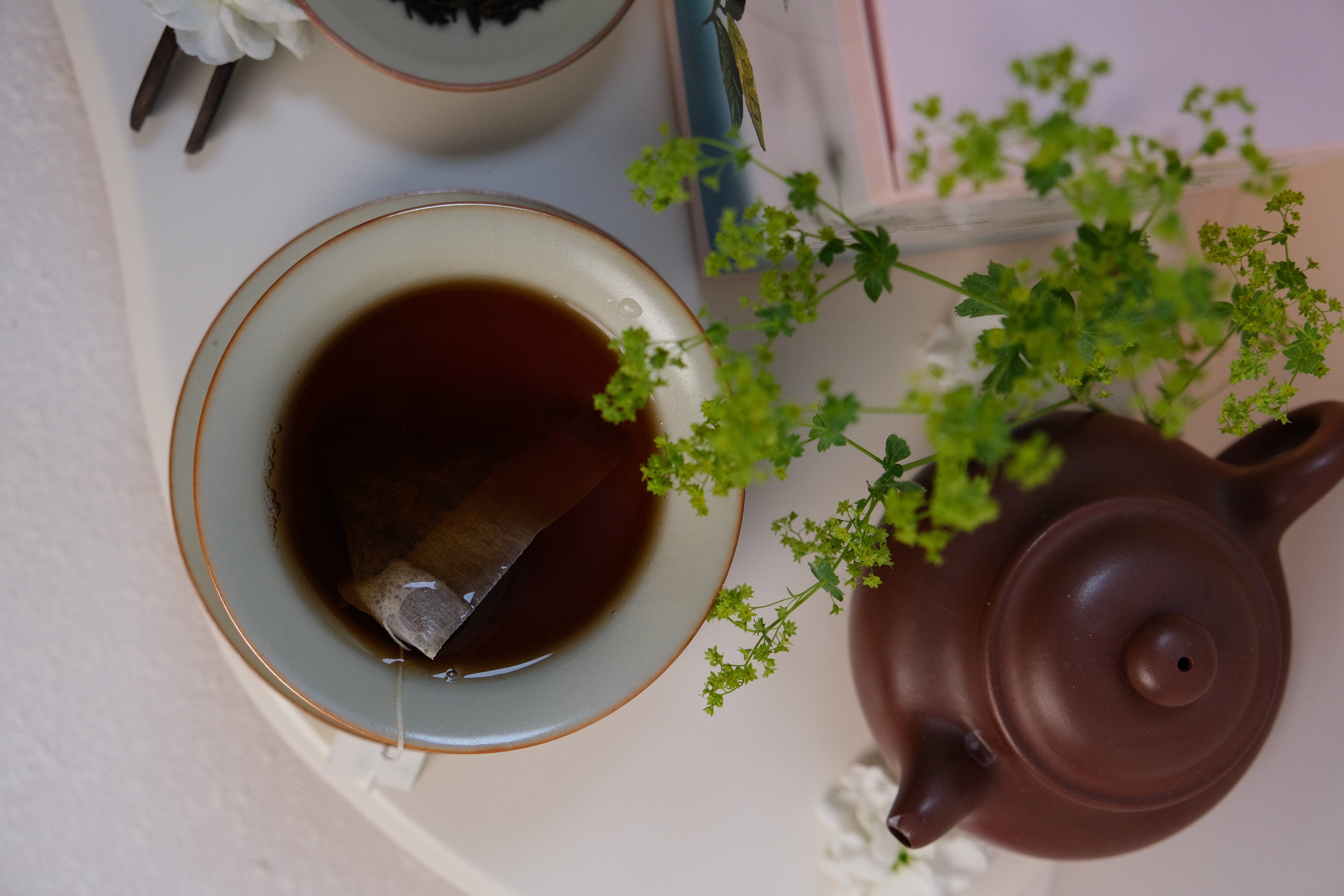 紅茶與烏龍差在哪？一篇看懂台灣茶的兩大主角