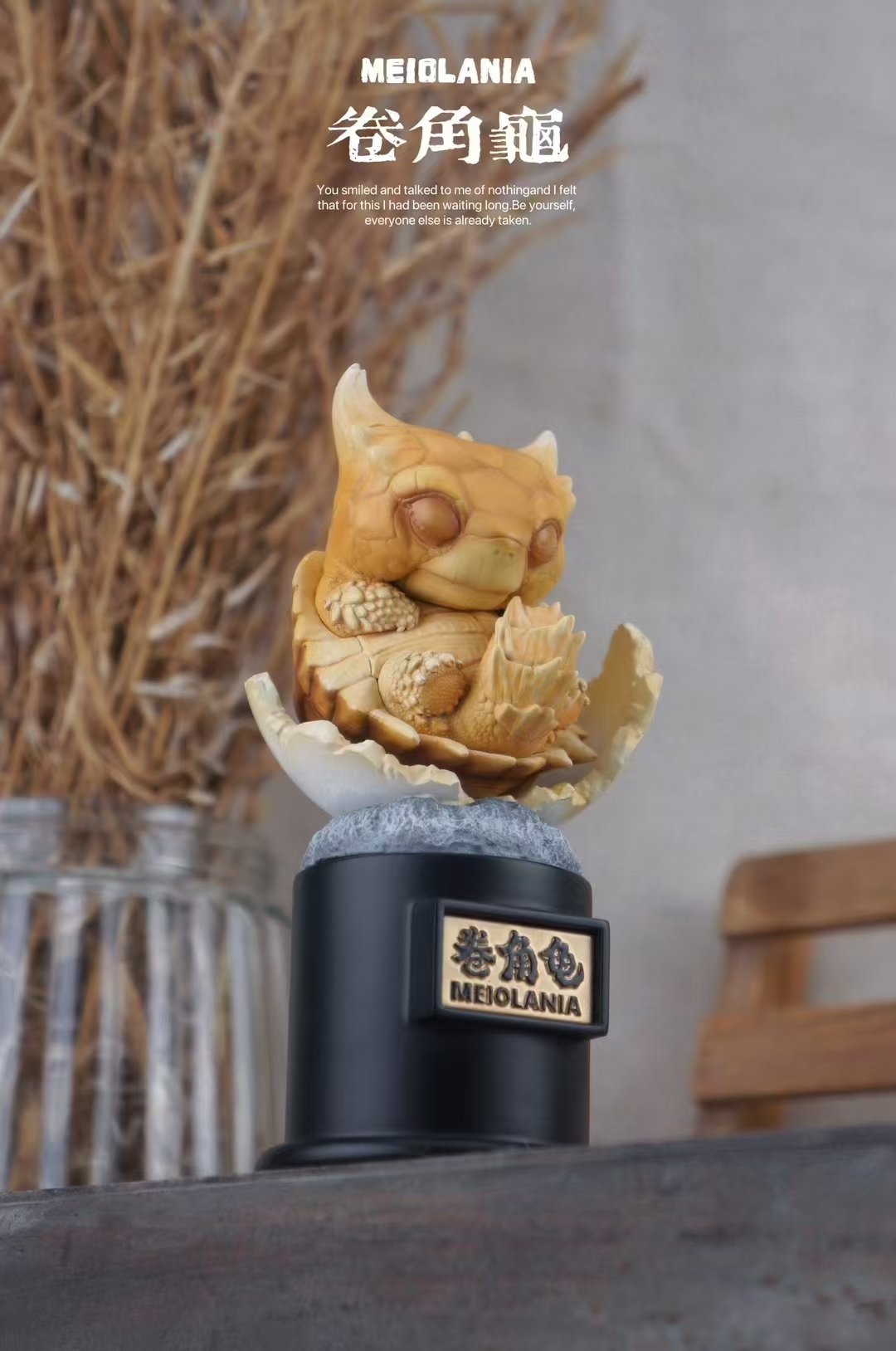 【爬蟲動物】博物誌-2024 遠古爬寵 復活計劃