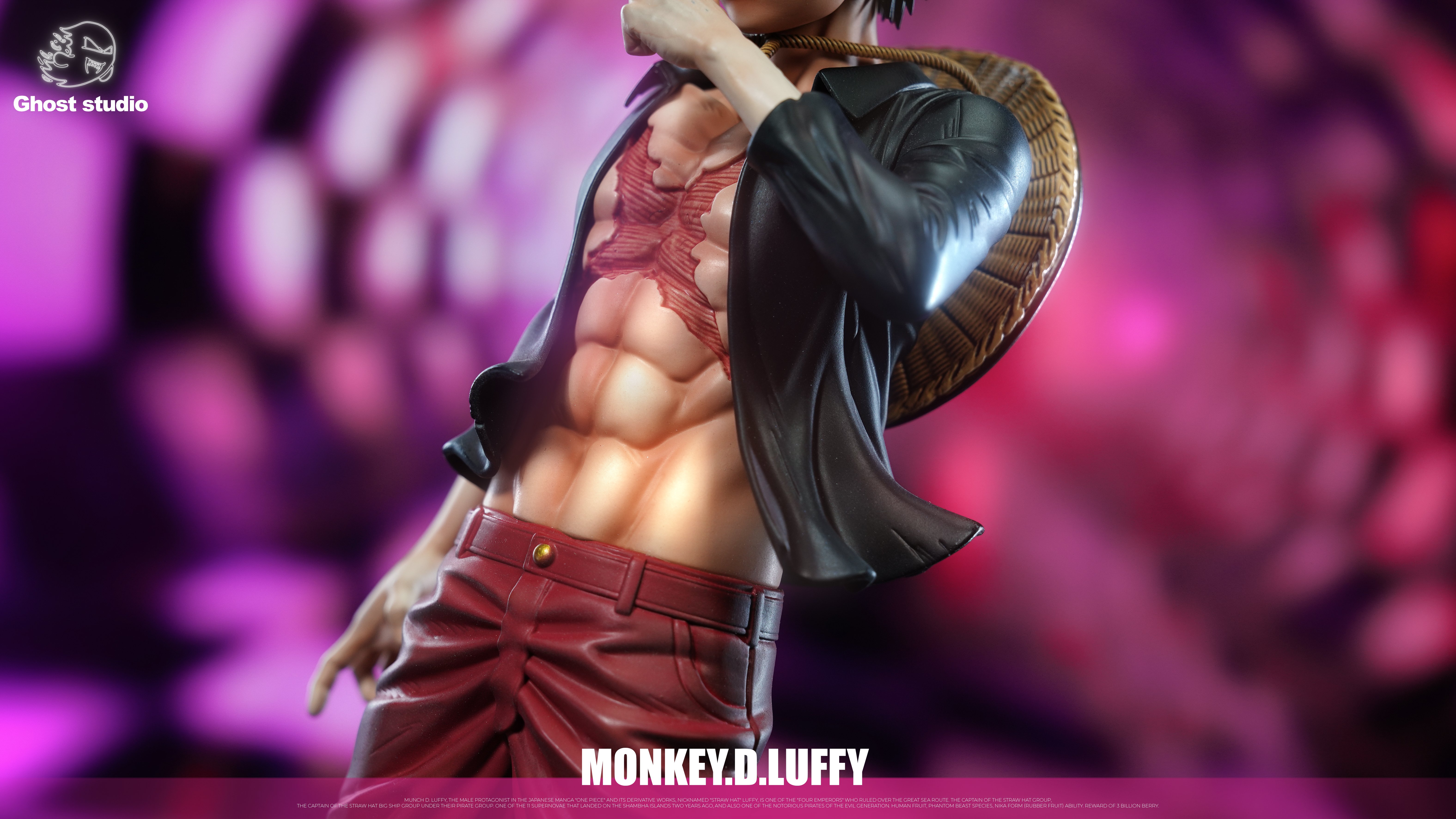 【海賊王】Ghost Studio-鏡中世界路飛