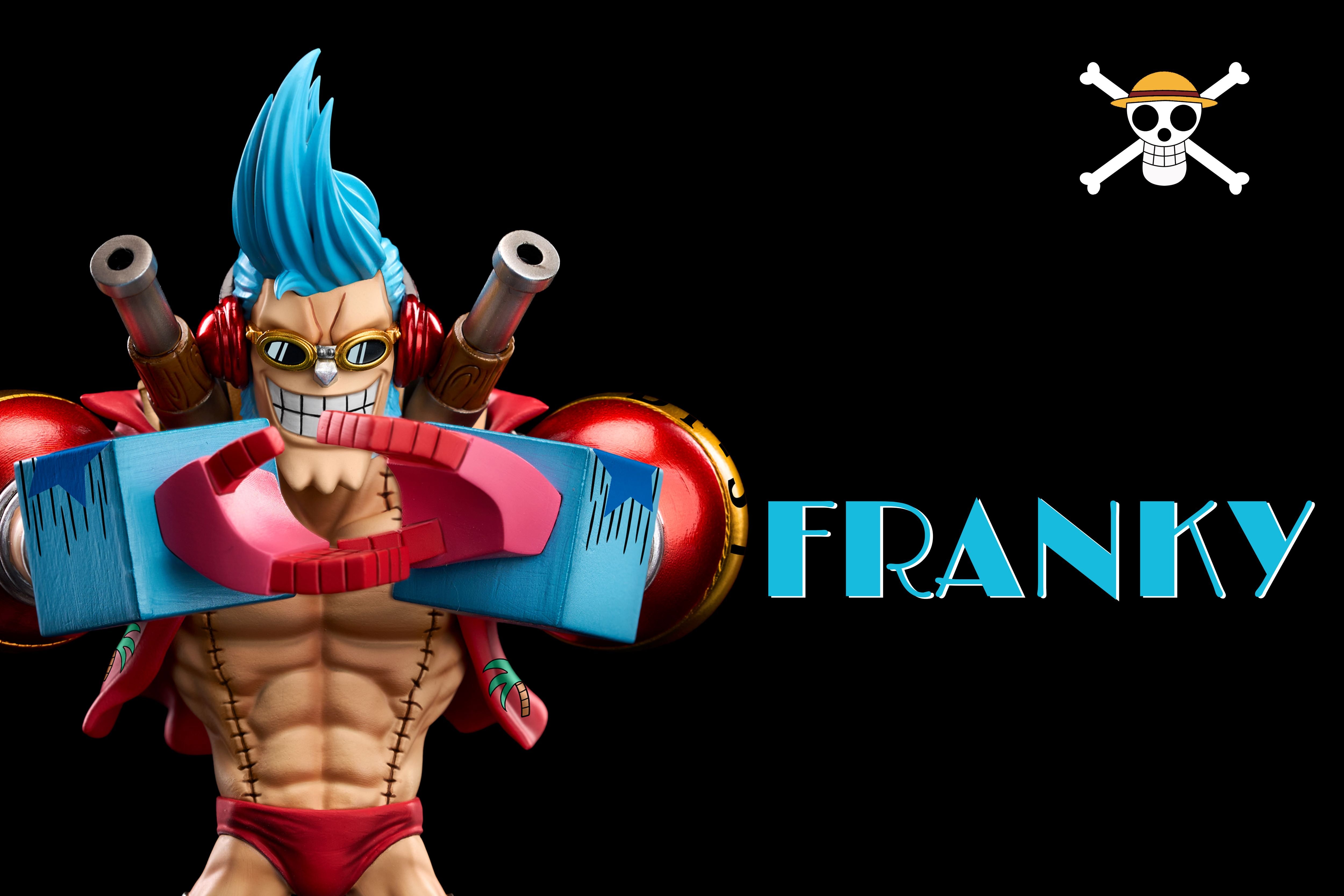 【海賊王】A+研究所-魚人島企劃 草帽團 法蘭奇