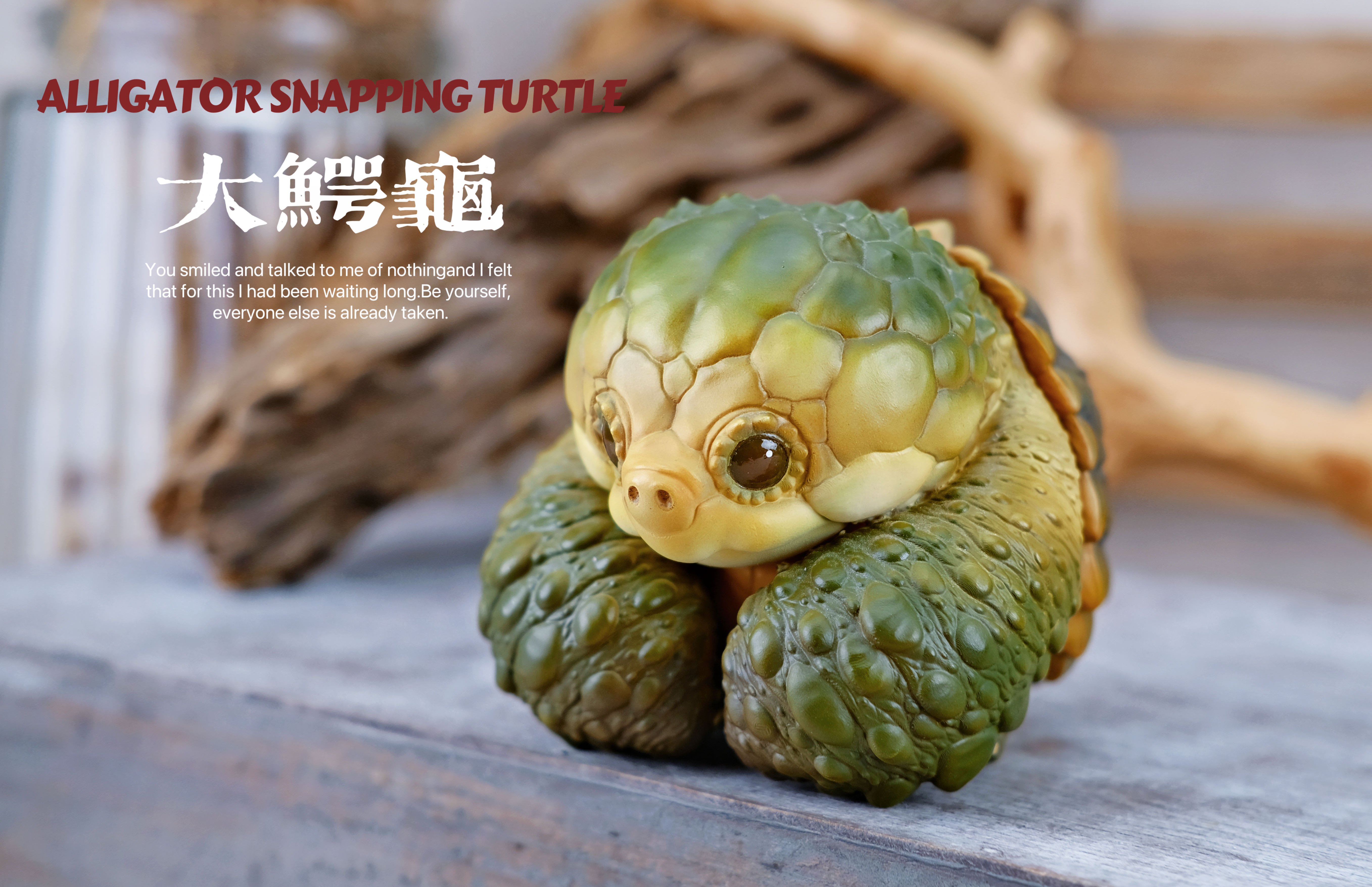 【爬蟲動物】博物誌-2024噸噸動物園龜系列