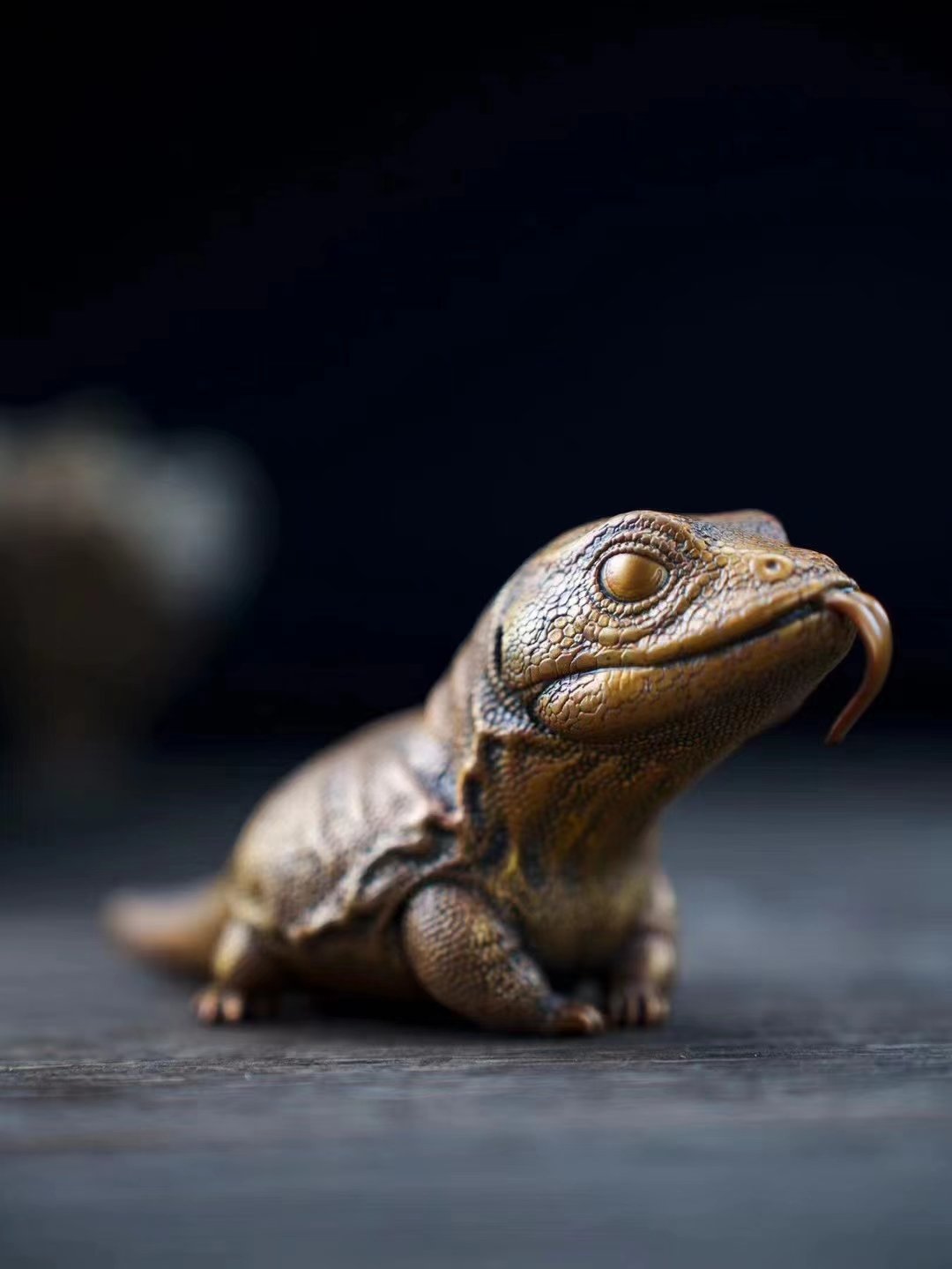 【動物爬蟲】博物誌-蜥蜴系列第七彈 金頭巨澤蜥