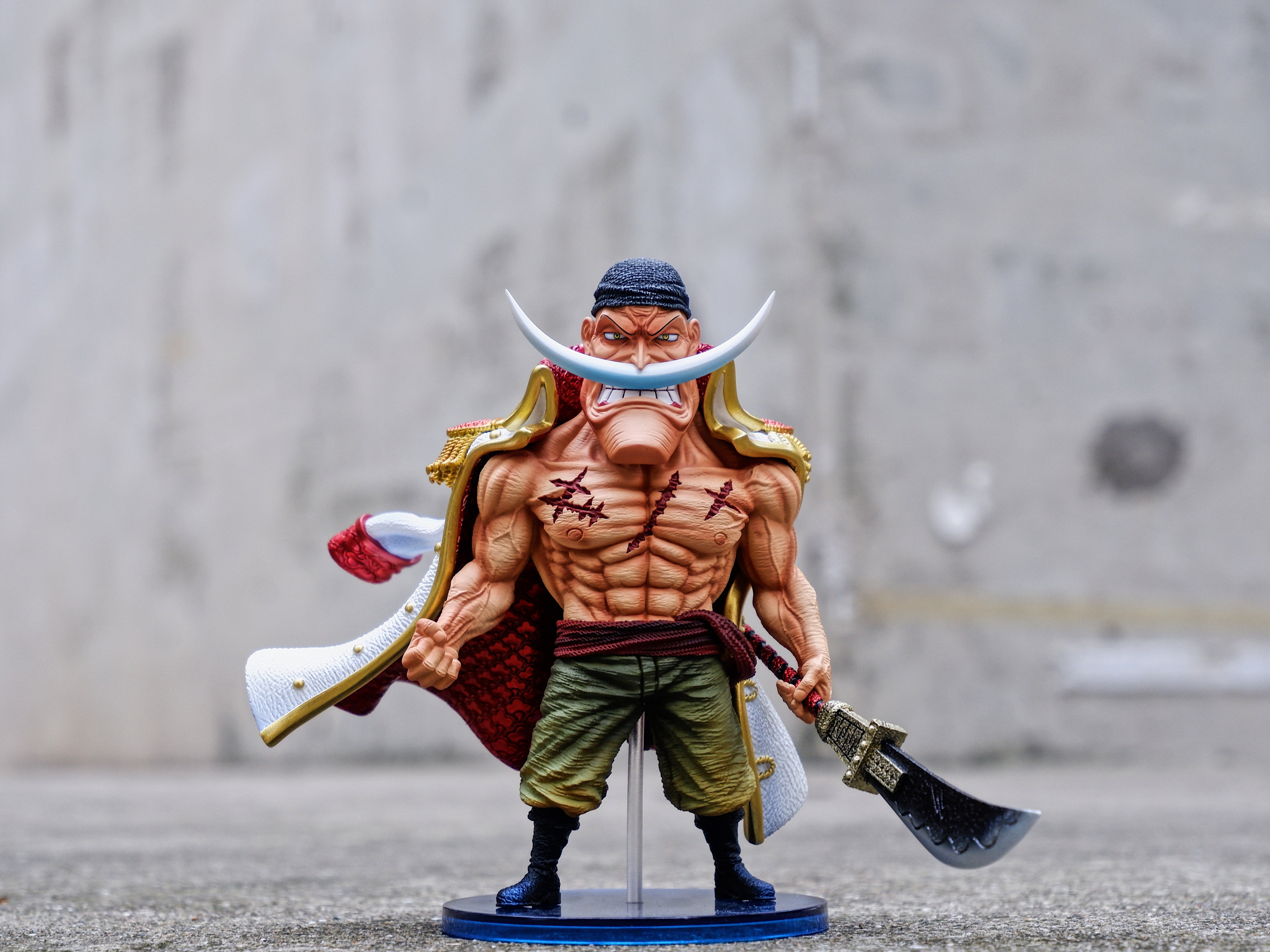 【海賊王】MDS Studio-強者系列 四皇 白鬍子（海外現貨）