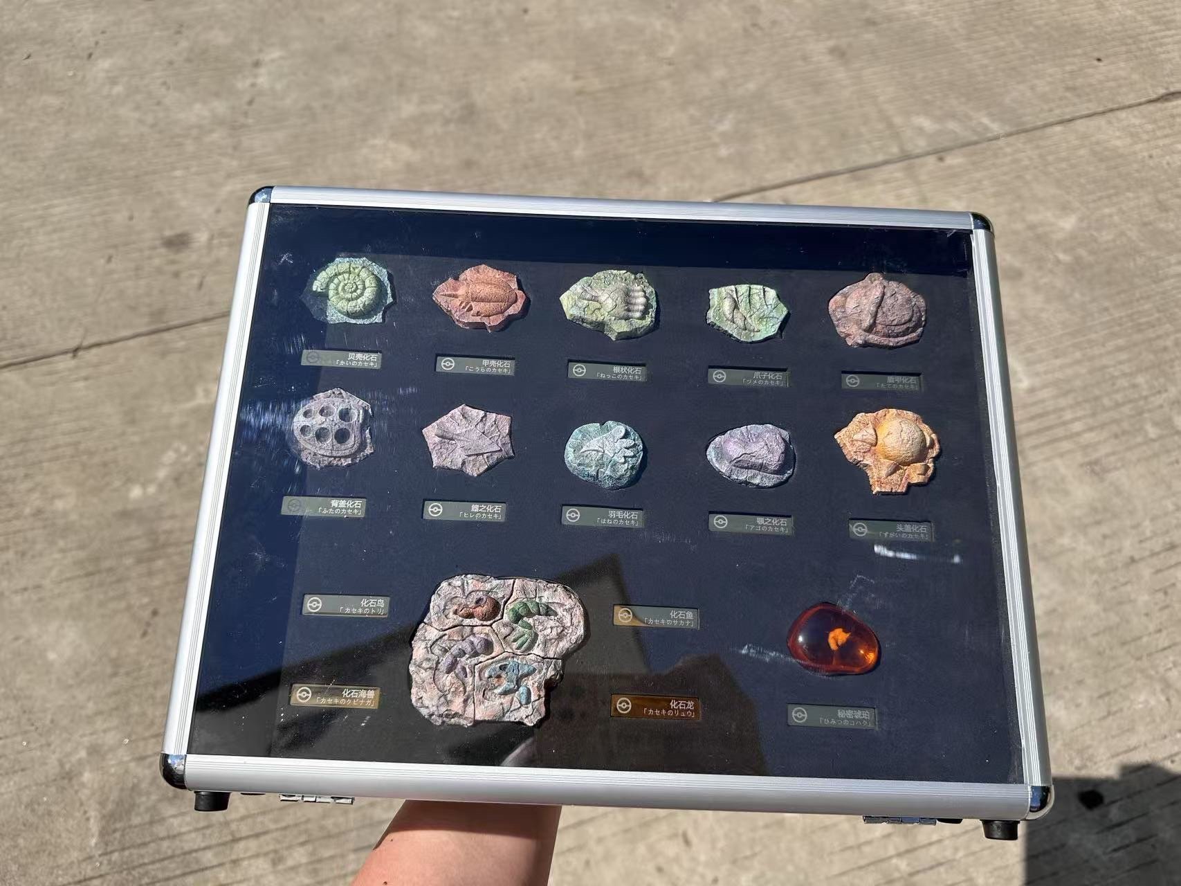 【寶可夢】百景屋-寶可夢化石套