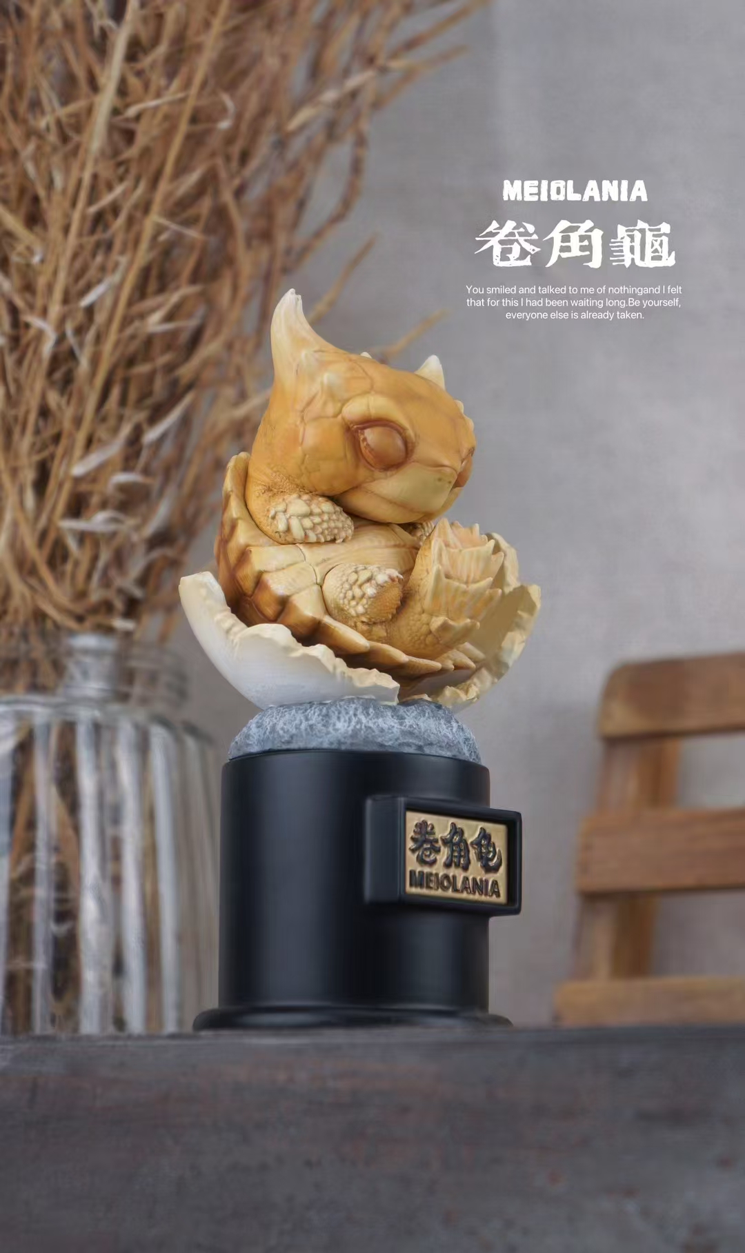 【爬蟲動物】博物誌-2024 遠古爬寵 復活計劃