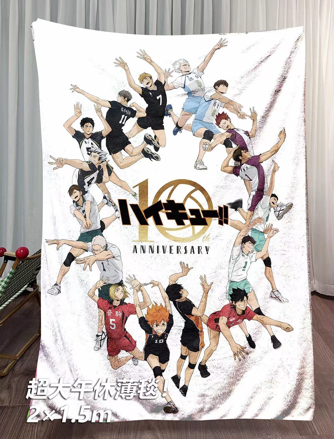 【週邊】千鳥社-排球少年十週年日向翔陽影山飛雄午睡毯地毯裝飾畫