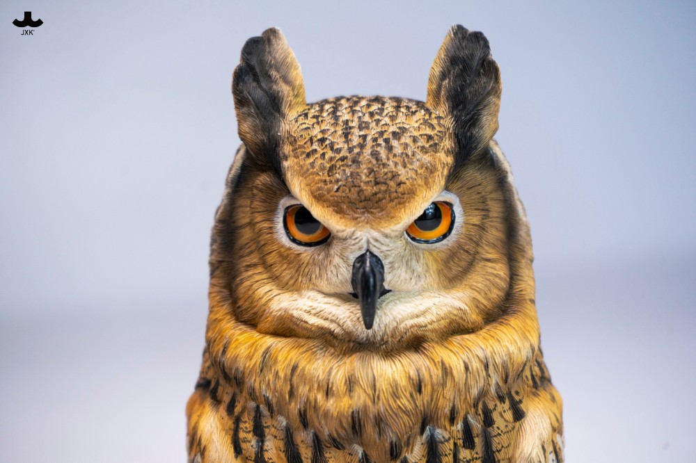 【正版授權】JXK－Statue Aura 長耳鴞頭雕