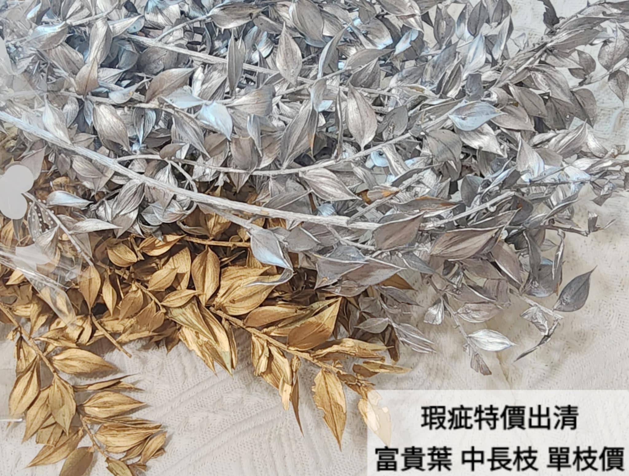 【瑕疵出清特價】富貴葉/樺木葉