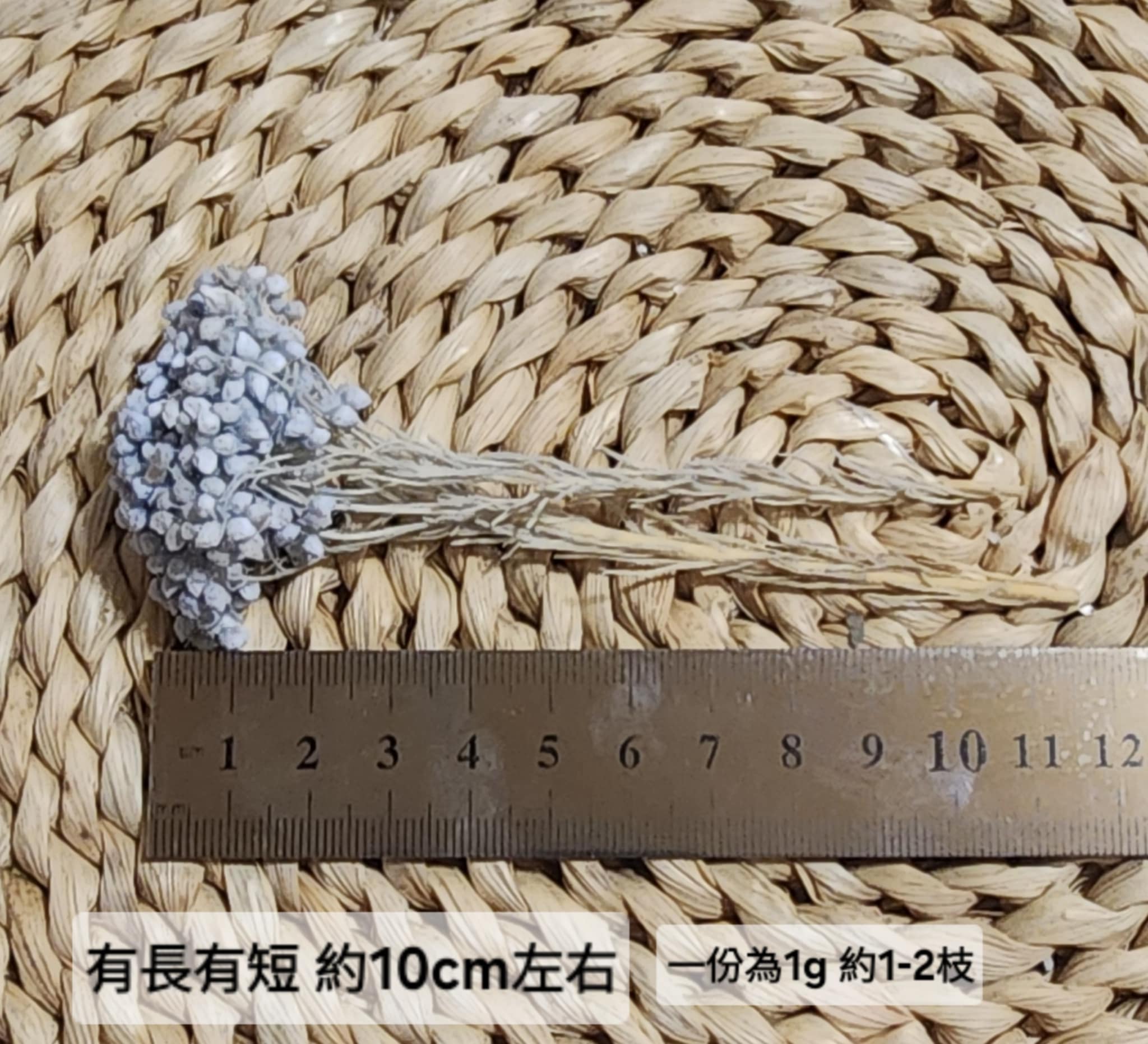 ❁米花 米香 米香花 小米花❁（9／14）