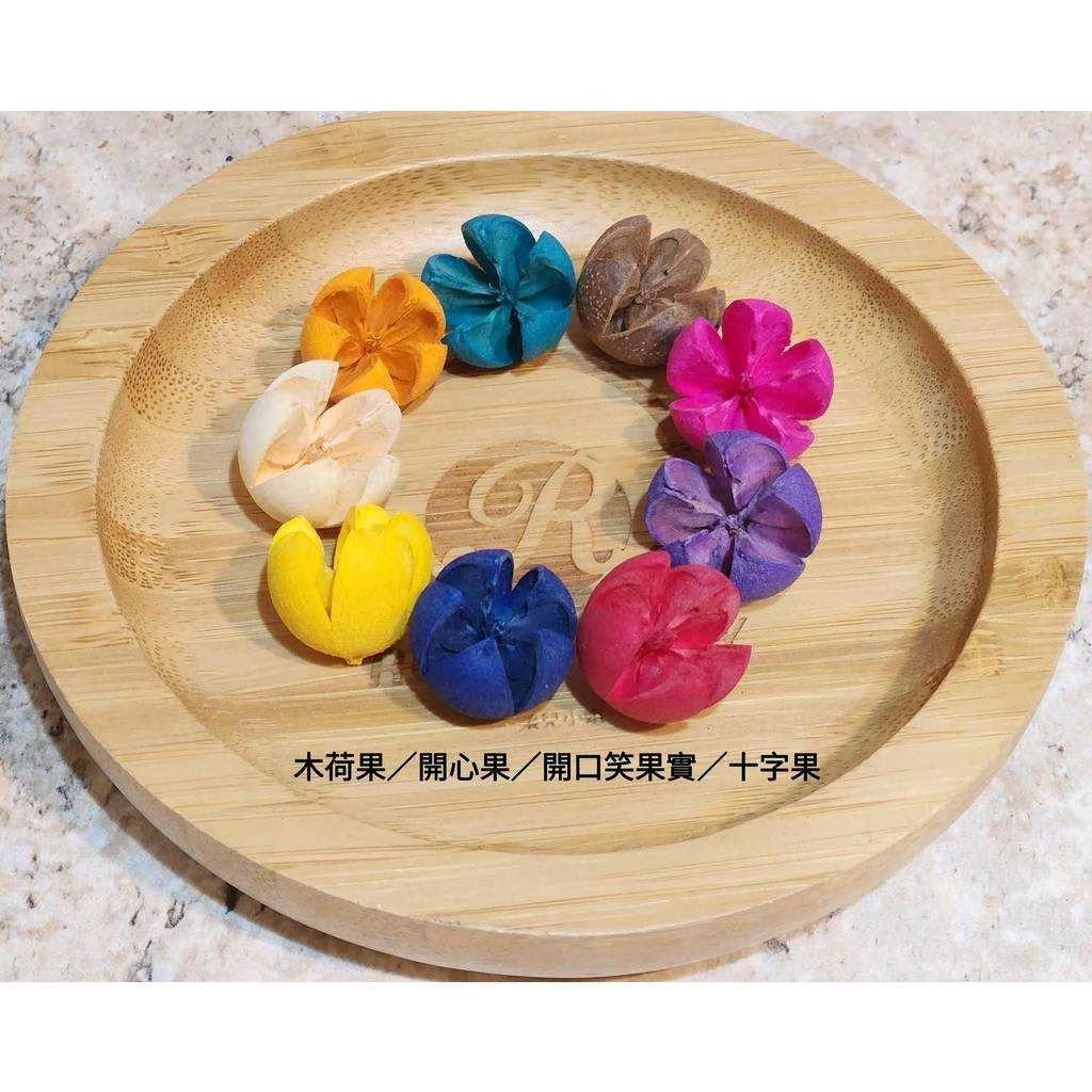 木荷果/開心果/開口笑果實/十字果