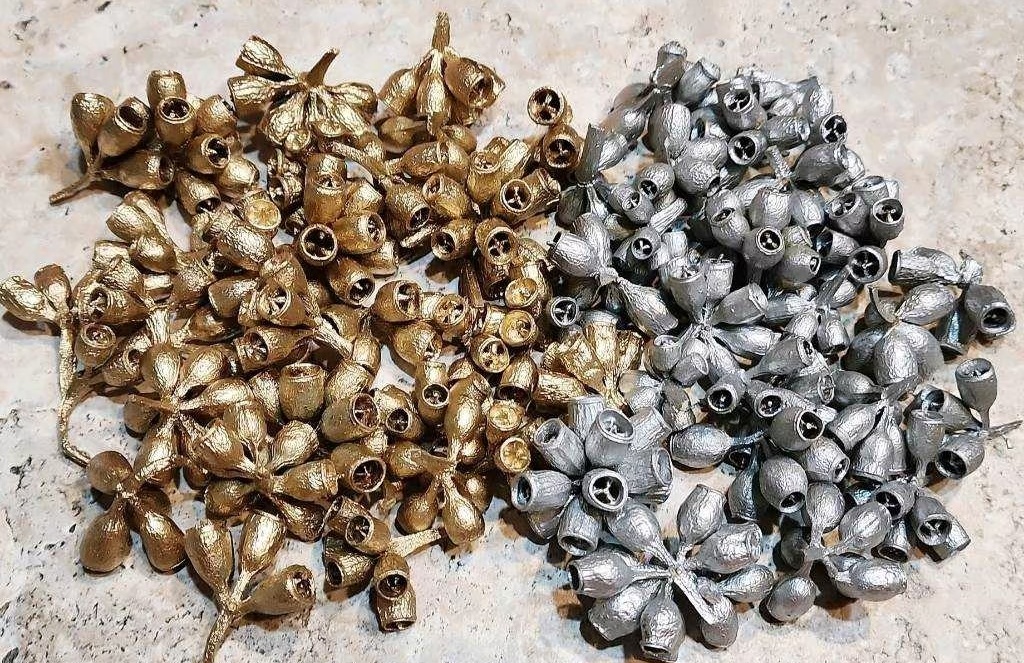 ❈琥珀果/殭屍果❈