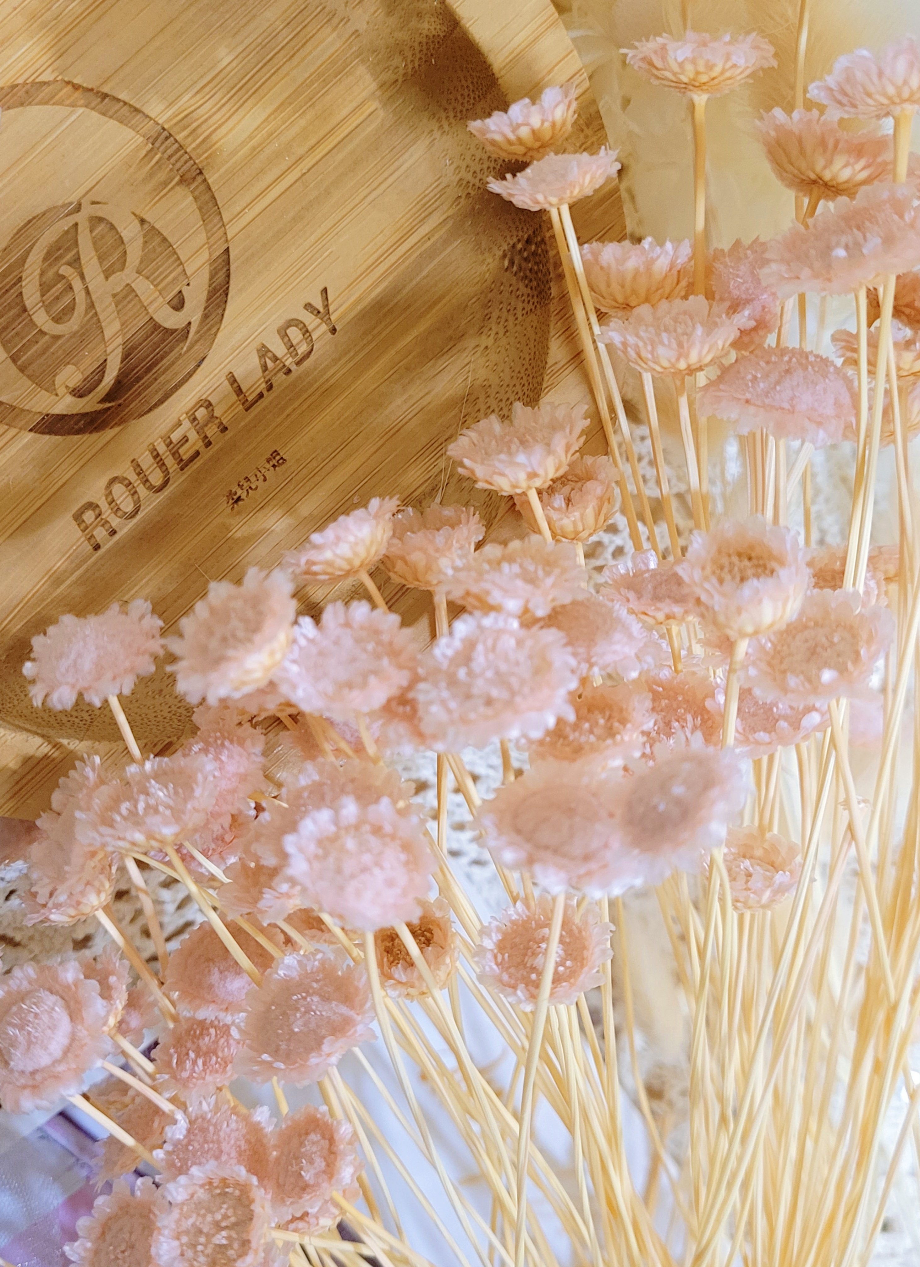 ❁大地農園EARTH MATTERS❁瑪格麗特Margaret