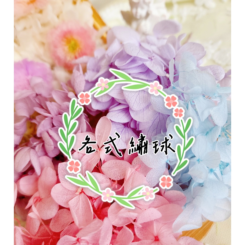 ★木繡球 單色 雙色 限定色★（8／7已更新）