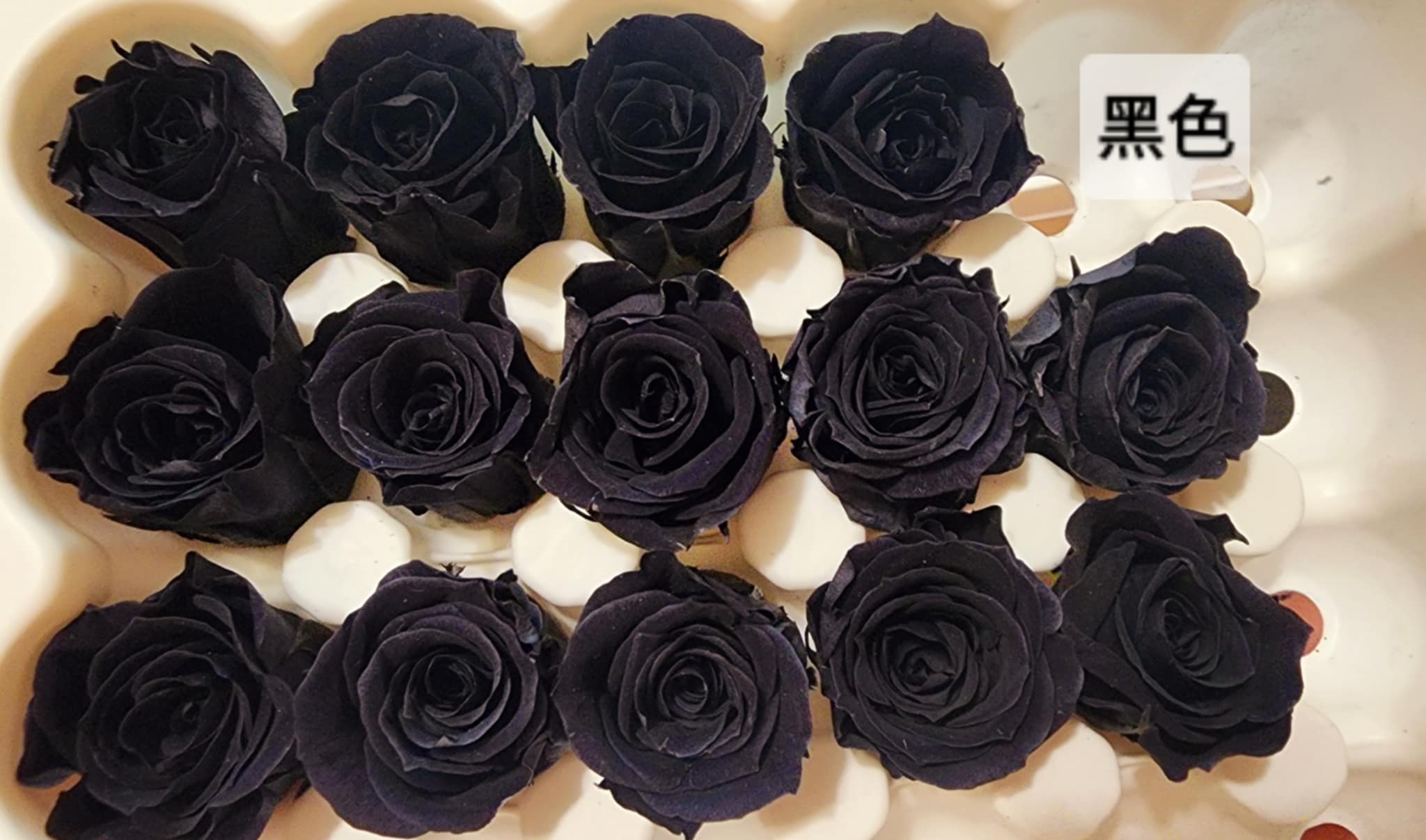 2-2cm多矮小迷你玫瑰❁素色 28色❁（8/7已更新）