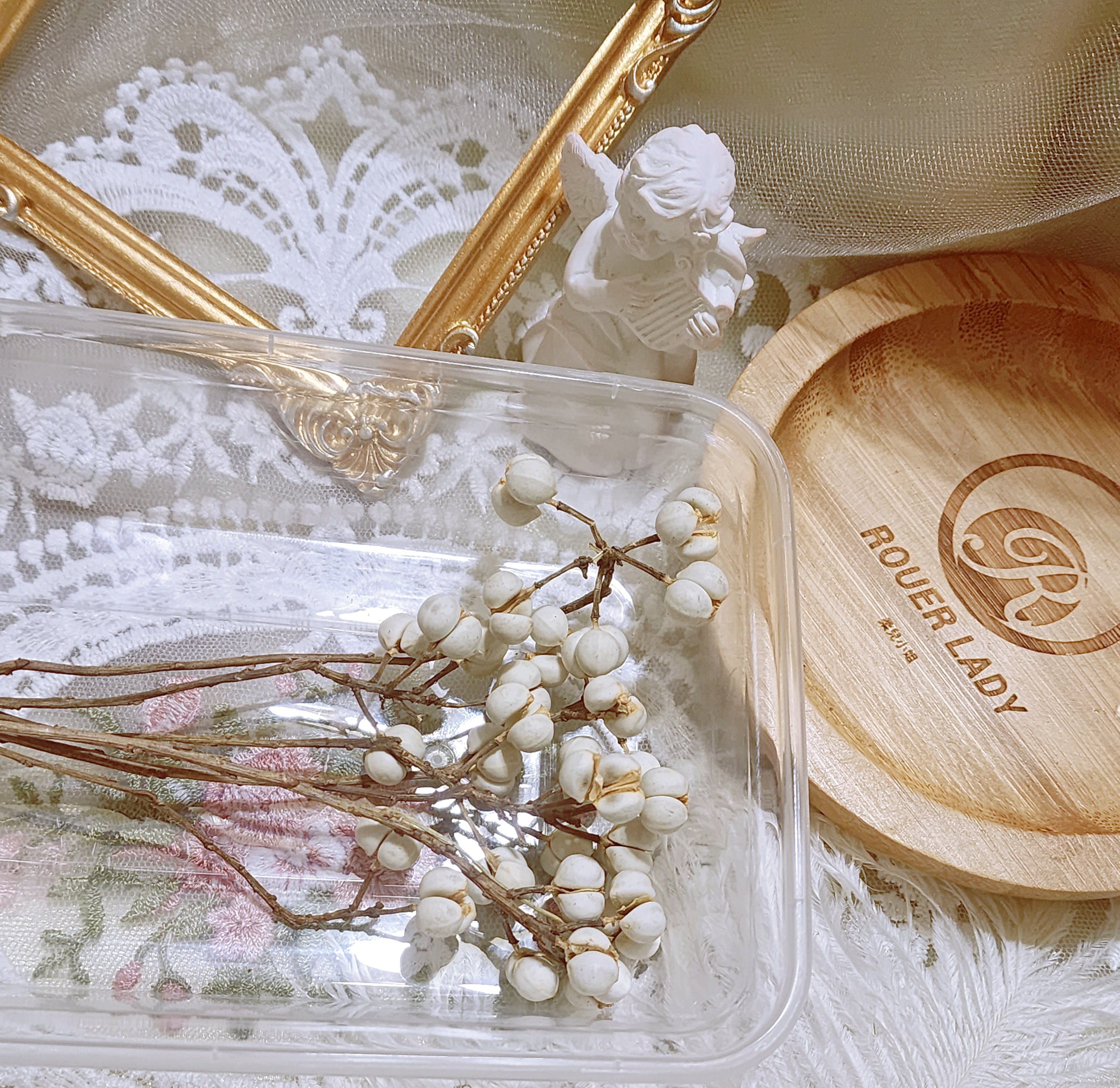 ✿烏臼/小白果/薏仁✿