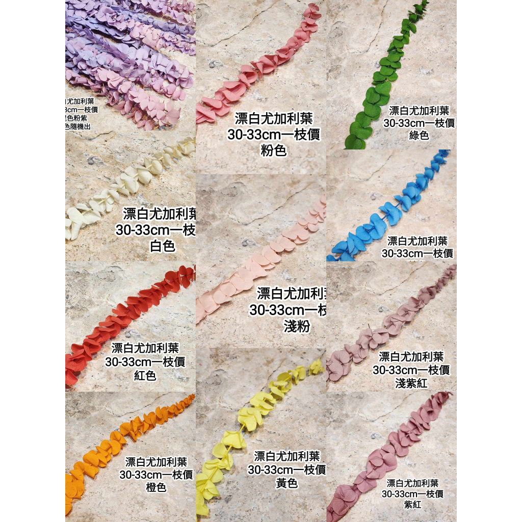 漂白尤加利葉/小圓葉桉/大圓葉桉/蘋果桉