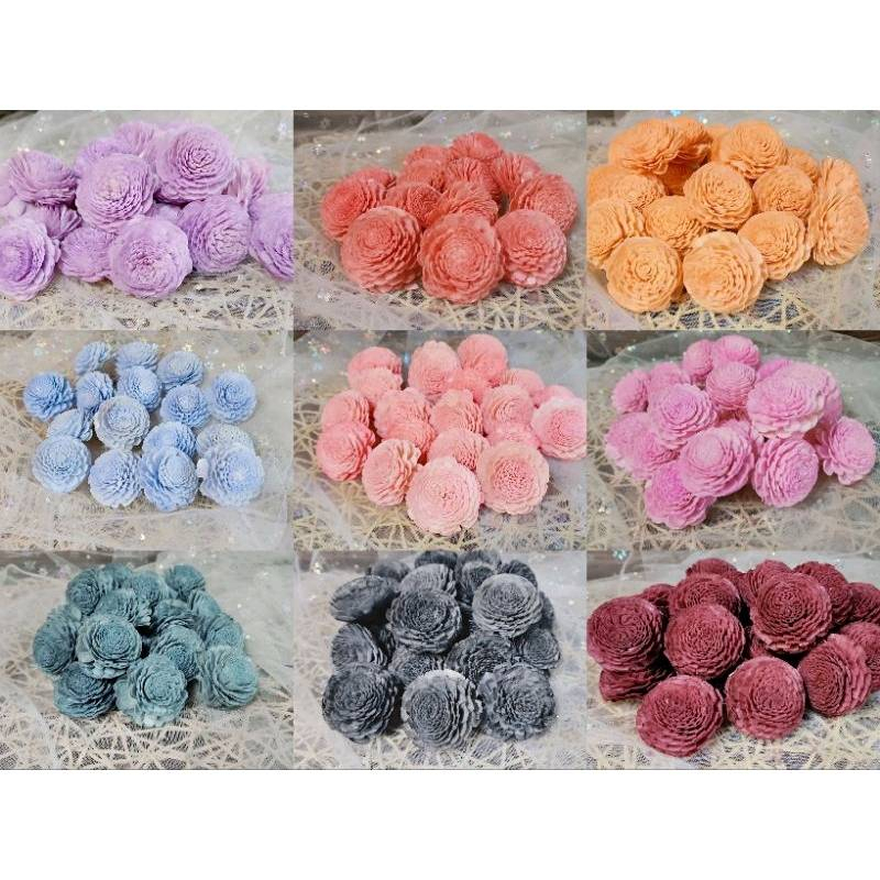 ♫無芯菊索拉花♫