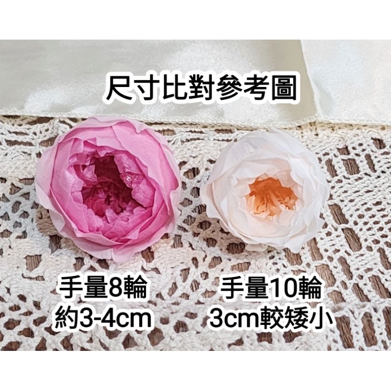 ❁3cm/3-4cm蝴蝶奧斯汀/庭園奧斯汀❁（7／25已更新）