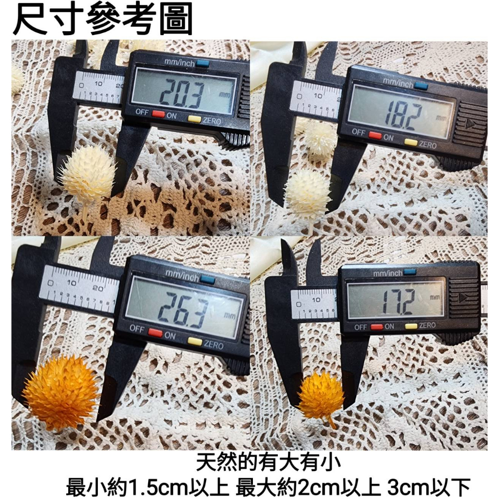 ✴草莓果/刺刺果/和尚頭✴