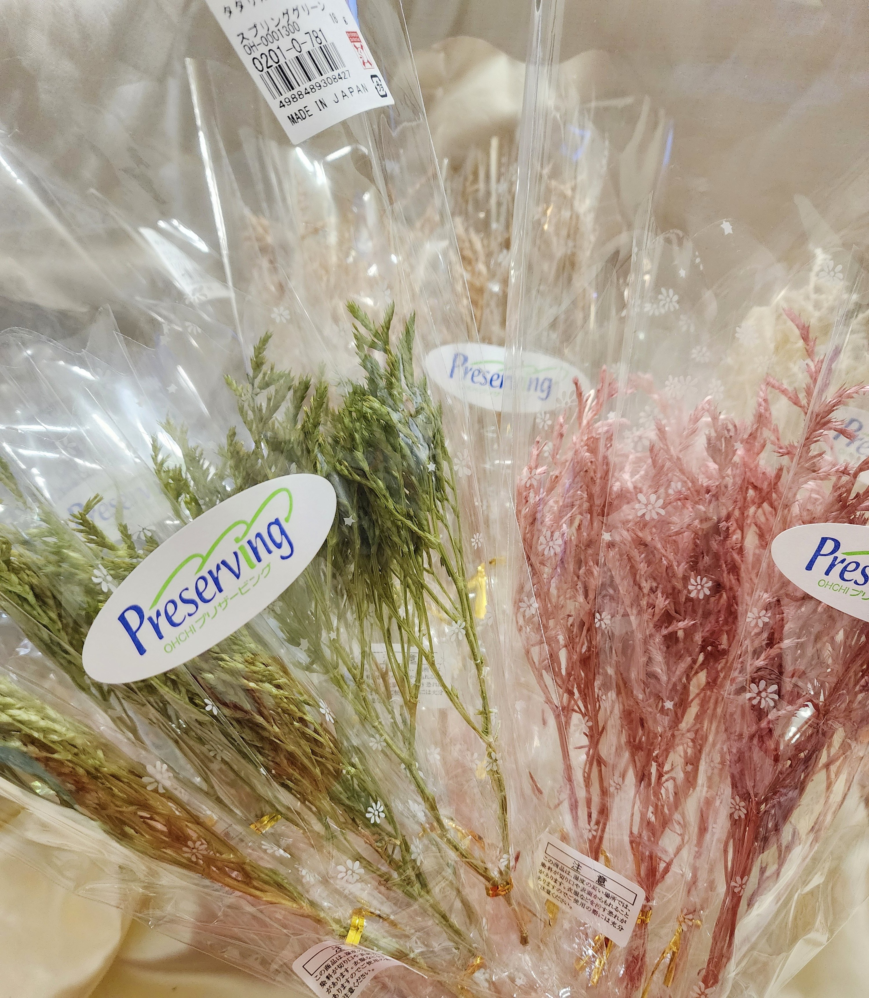 ❁大地農園EARTH MATTERS❁平葉磯松/雪花