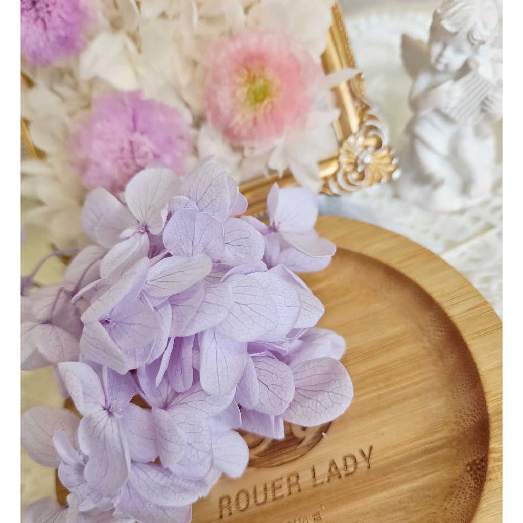 ★木繡球 單色 雙色 限定色★（8／7已更新）