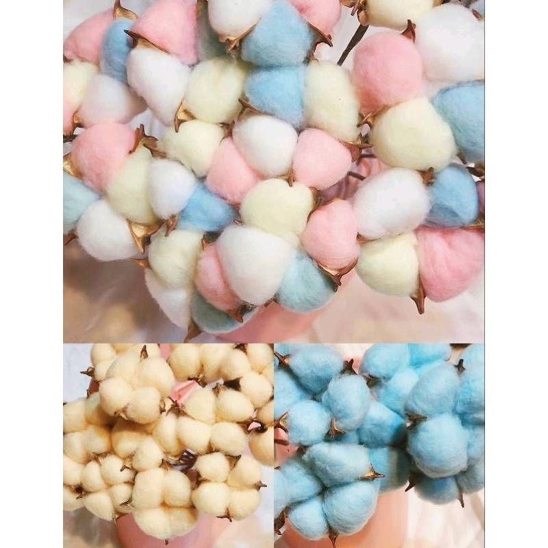 ☆棉花頭帶桿☆