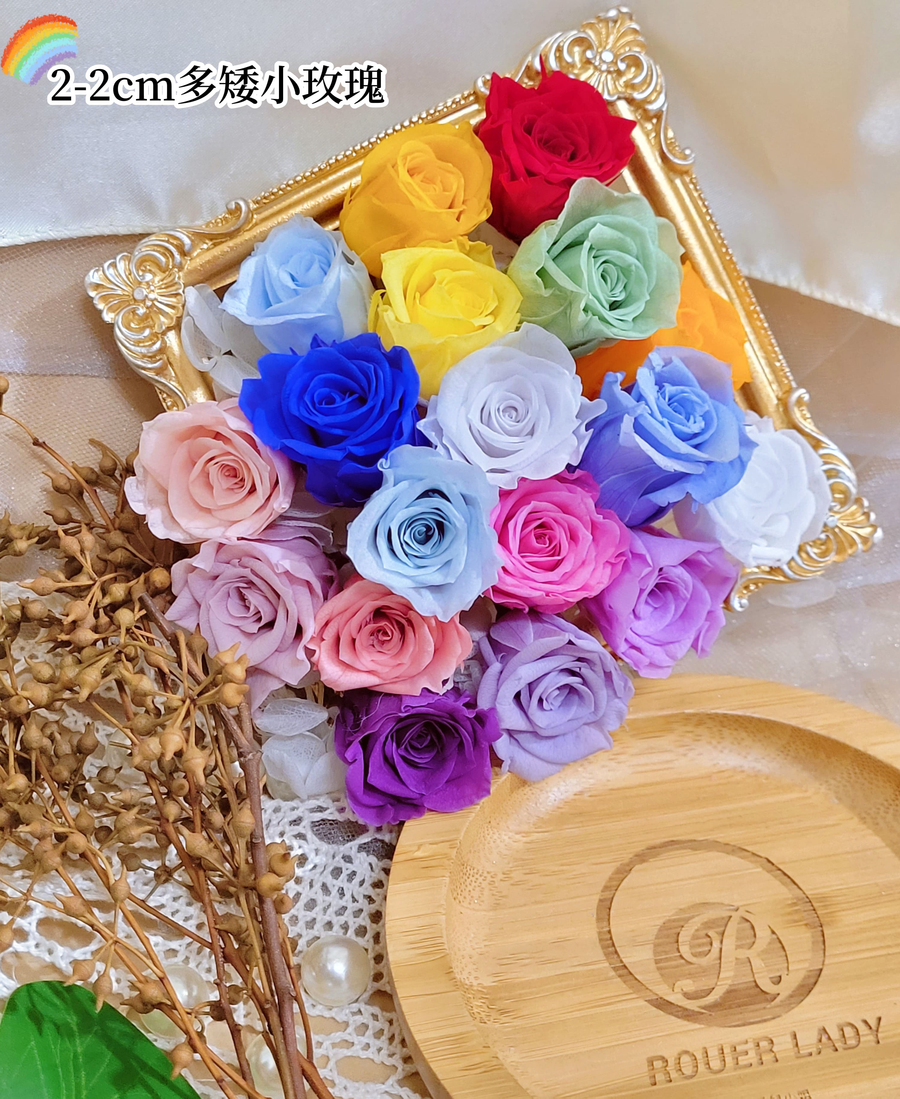 2-2cm多矮小迷你玫瑰❁素色 28色❁（8/7已更新）