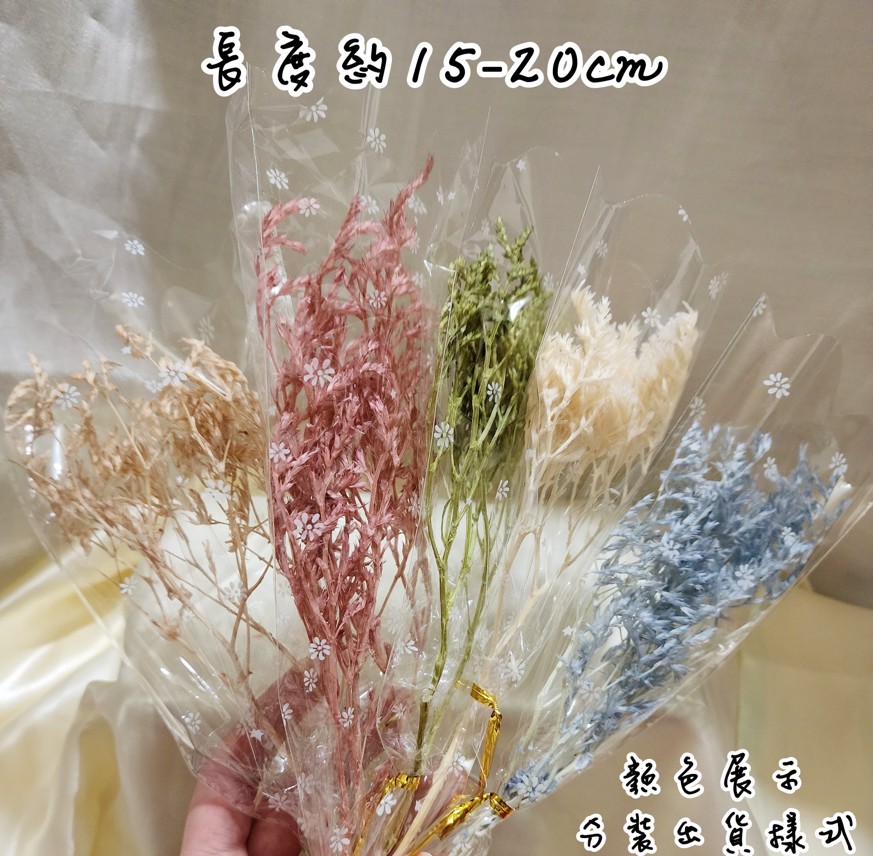 ❁大地農園EARTH MATTERS❁平葉磯松/雪花