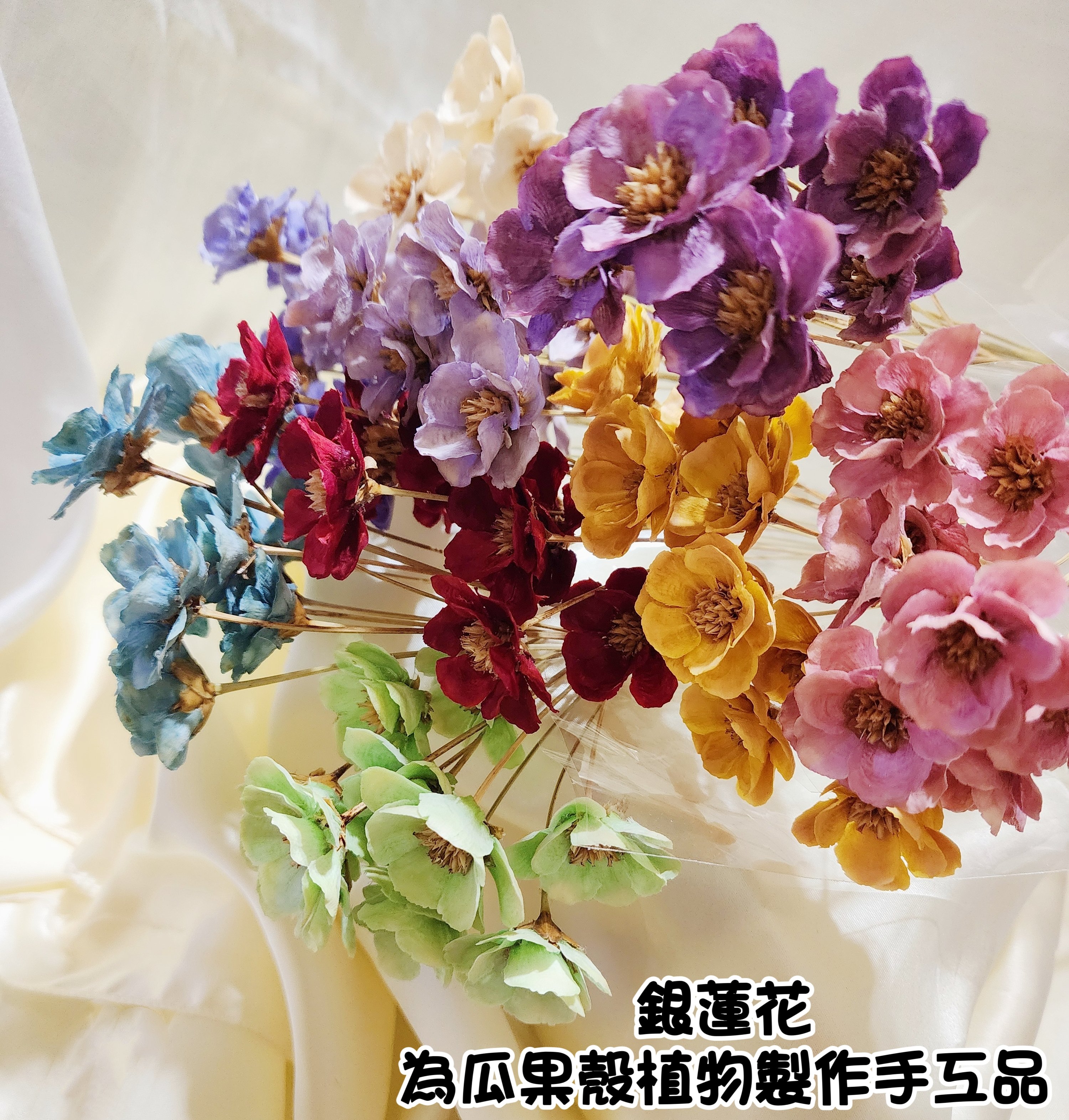銀蓮花/瓜果殼花手工品