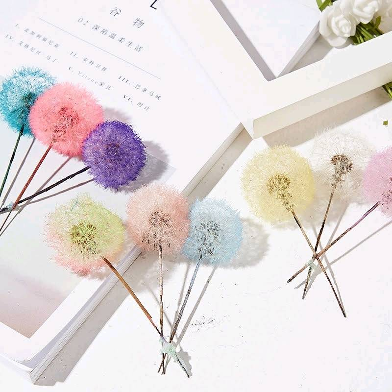 ❀蒲公英❀（7／25已更新）