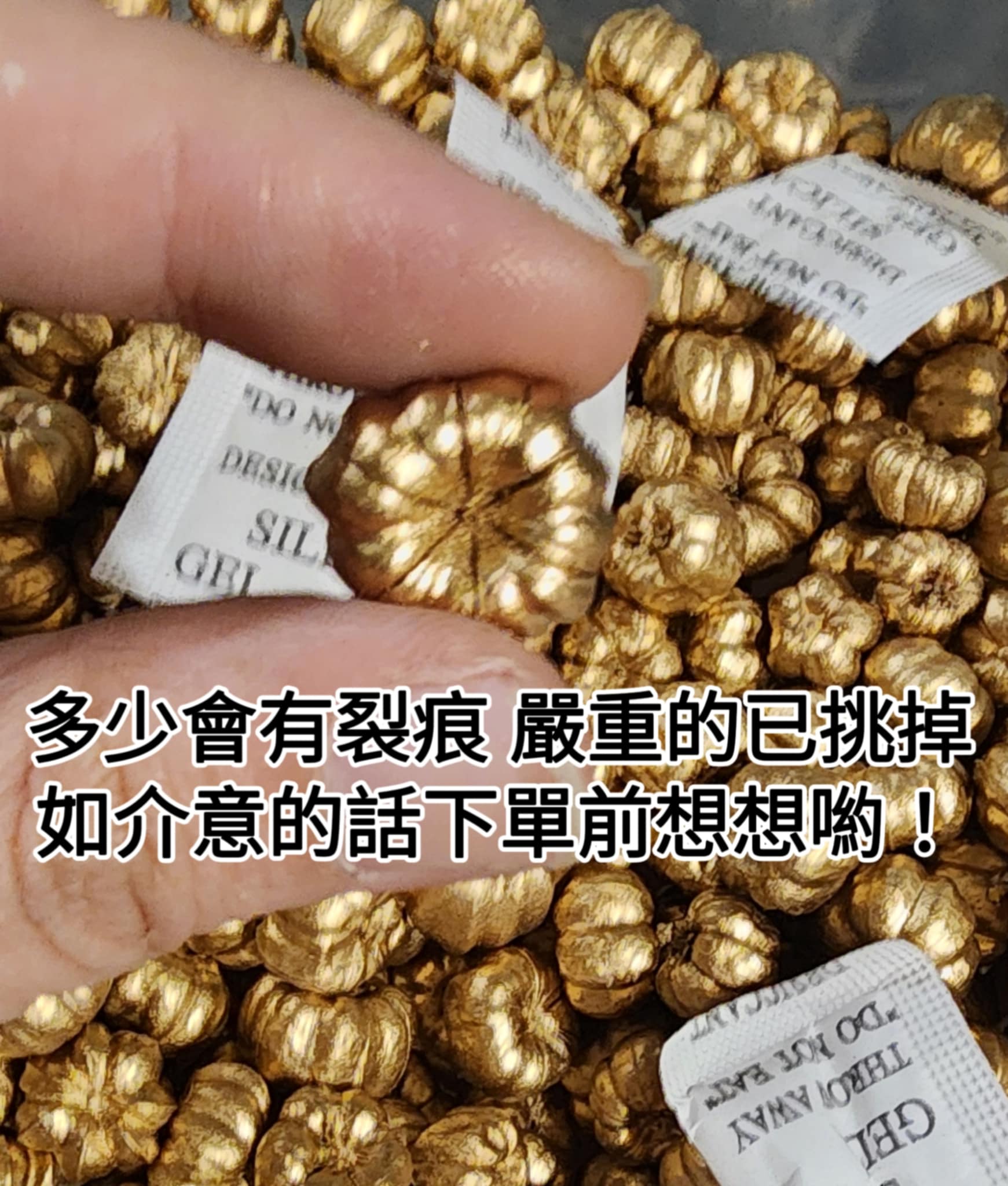 ✲超級迷你小金南瓜／小南瓜✲