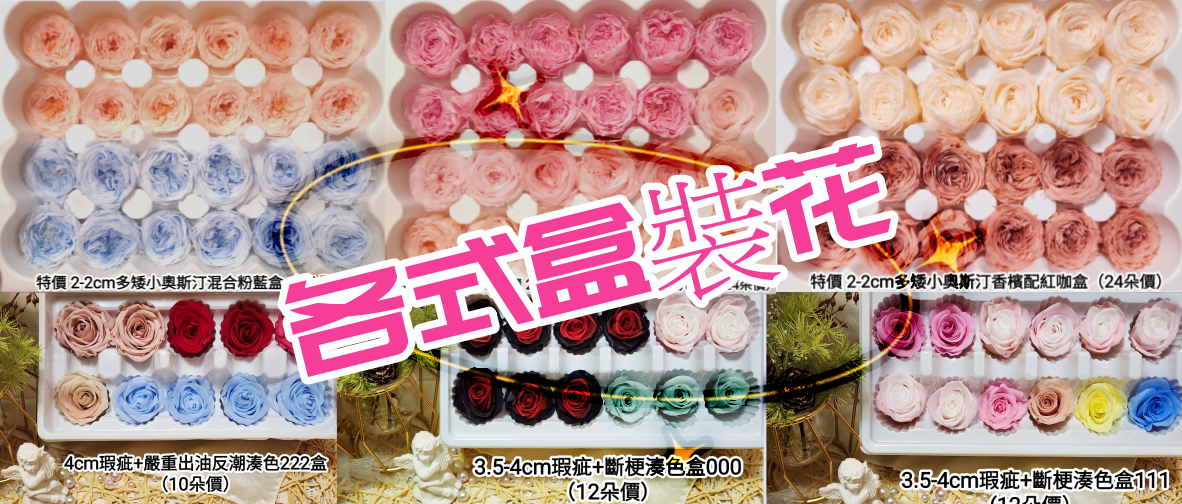 ♩盒裝花/特價盒/混色盒♩(8/7已更)
