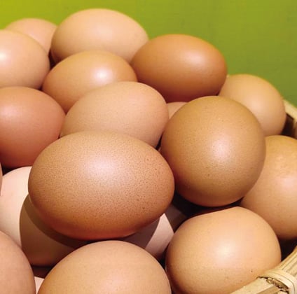 悠活土雞蛋 (10顆)