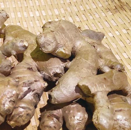 老薑 (份)(可搭配3份100元品項活動)